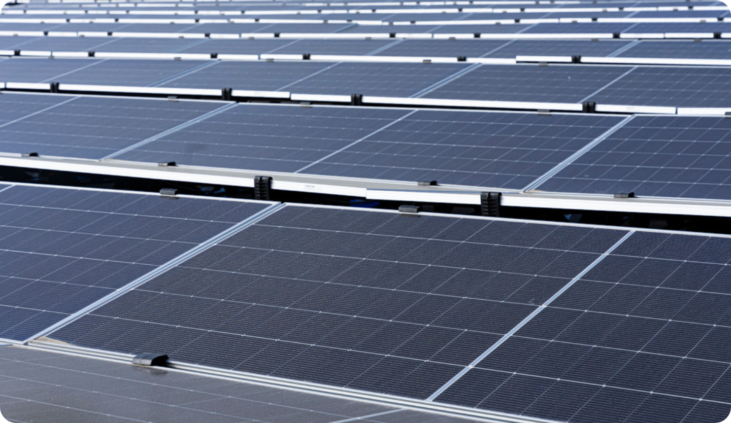 zonnepanelen