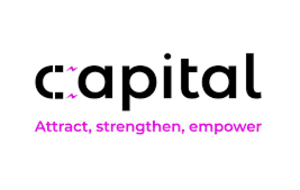 VZW CAPITAL