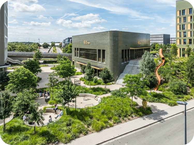 Overzicht van de groene en biodiverse buitenruimte rond The Plectrum in Gent, met bomen, sierplanten, zitbanken en een glijbaan.