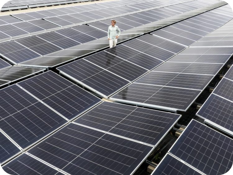Luchtperspectief van een medewerker die tussen de zonnepanelen van een eigen zonnepark van Upgrade Estate staat.