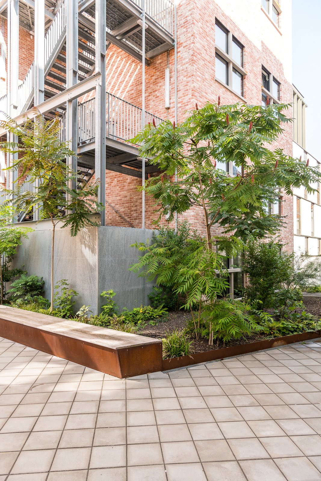 tuin_back_1