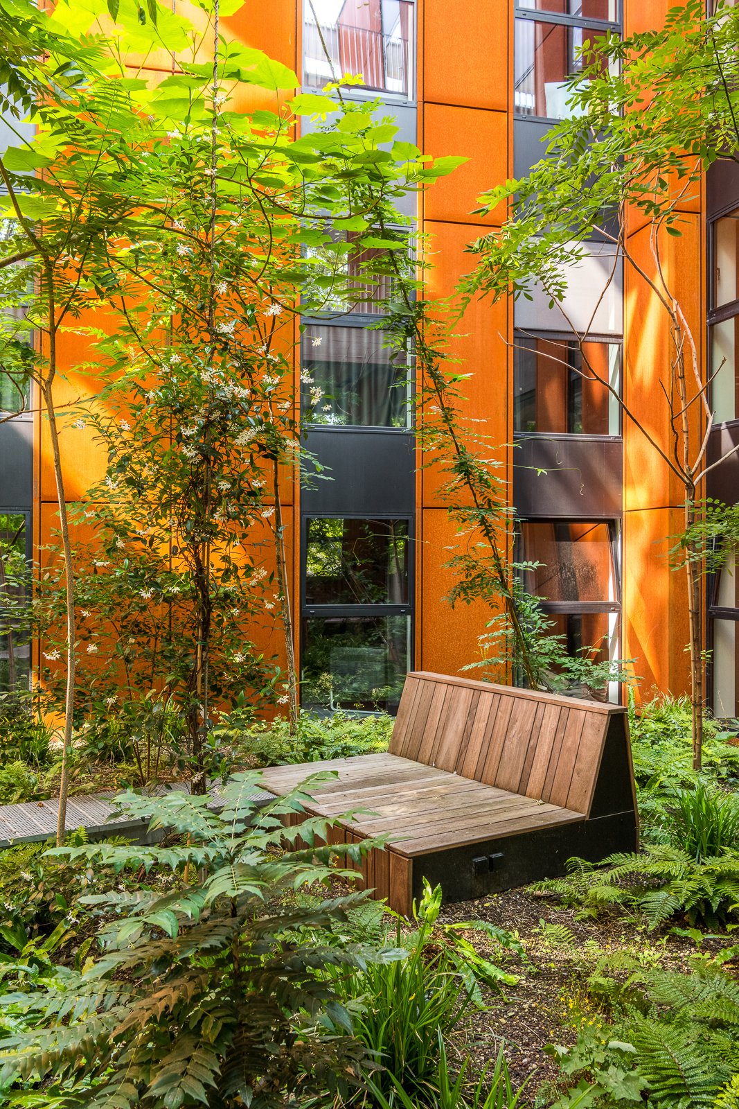 tuin_back_2